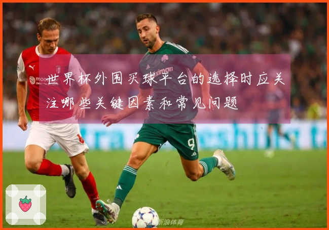 世界杯外围买球平台的选择时应关注哪些关键因素和常见问题