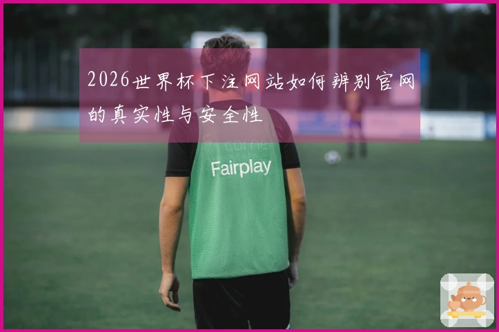 2026世界杯下注网站如何辨别官网的真实性与安全性