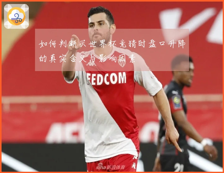 如何判断买世界杯竞猜时盘口升降的真实含义与影响因素