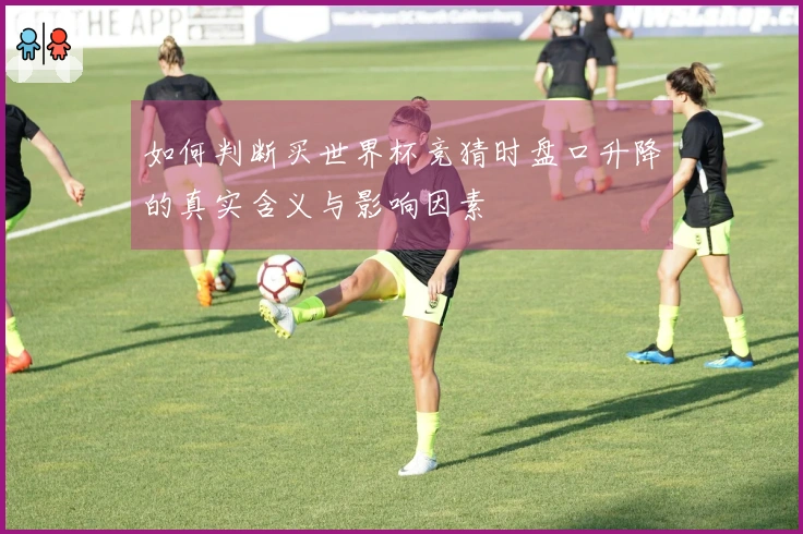 如何判断买世界杯竞猜时盘口升降的真实含义与影响因素