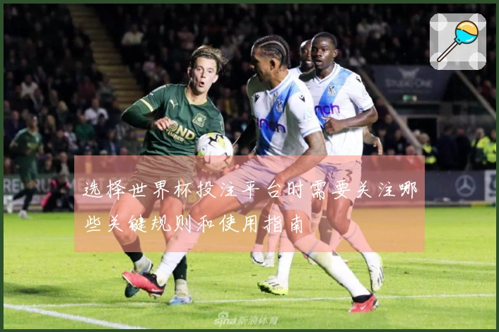 选择世界杯投注平台时需要关注哪些关键规则和使用指南