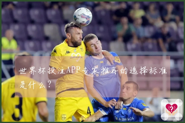 世界杯投注APP专家推荐的选择标准是什么？