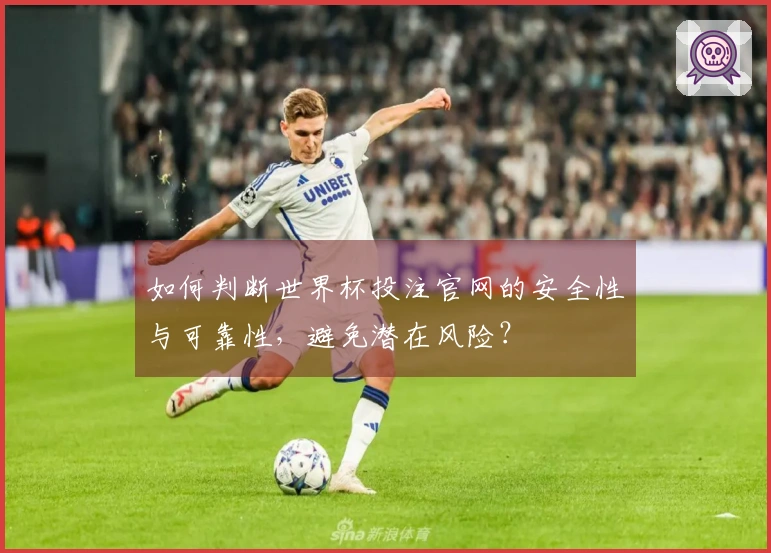 如何判断世界杯投注官网的安全性与可靠性，避免潜在风险？