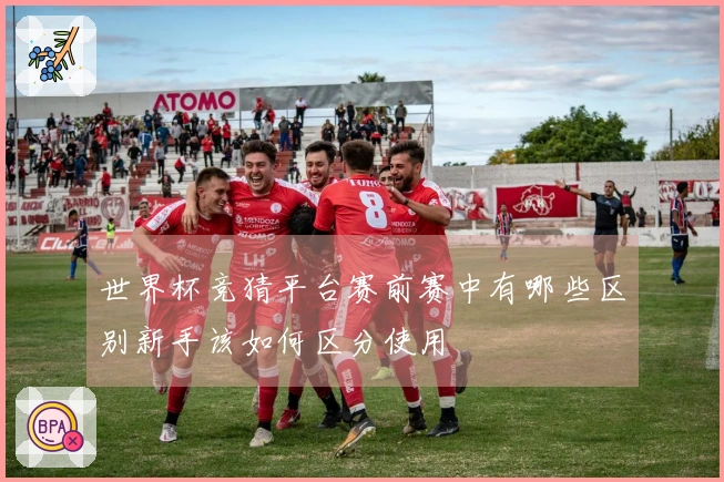 世界杯竞猜平台赛前赛中有哪些区别新手该如何区分使用