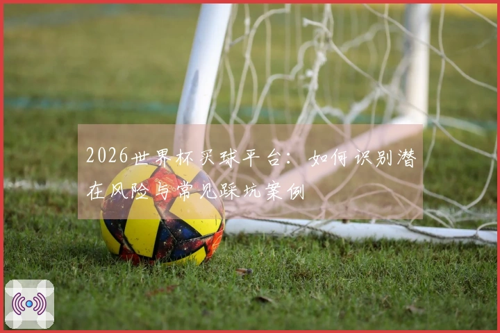 2026世界杯买球平台：如何识别潜在风险与常见踩坑案例