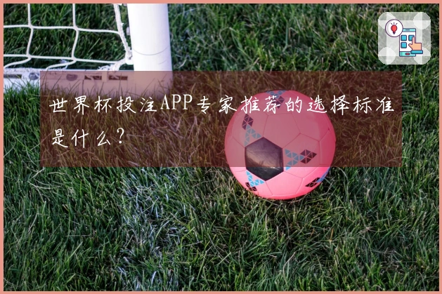 世界杯投注APP专家推荐的选择标准是什么？